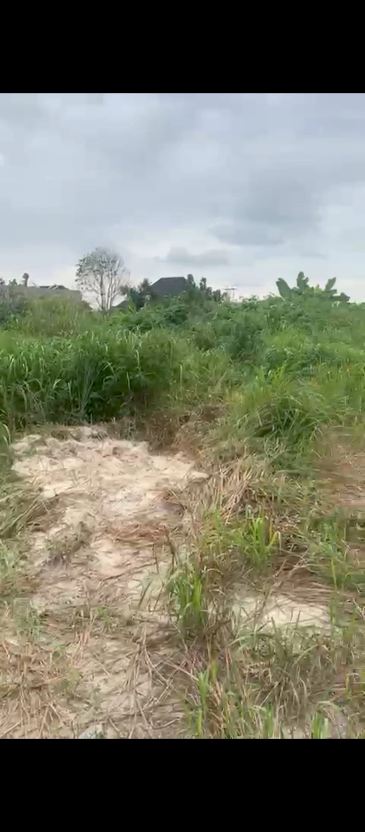 Land for Sale in Shell farm, Delta - Image 3