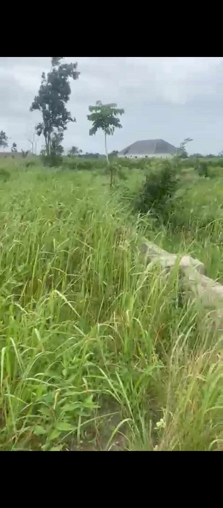 Land for Sale in Shell farm, Delta - Image 2