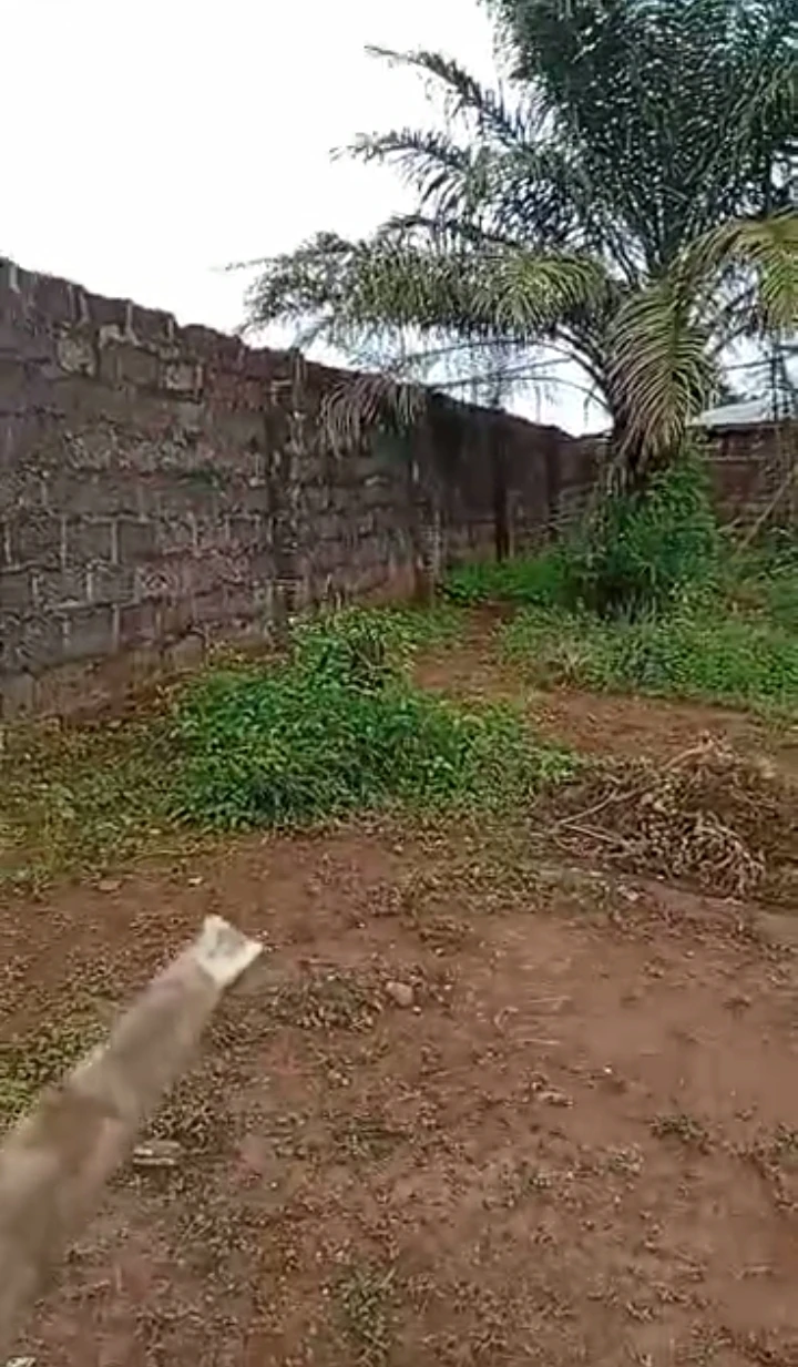 Land for Sale in 2nd ugbor, Edo - Image 3