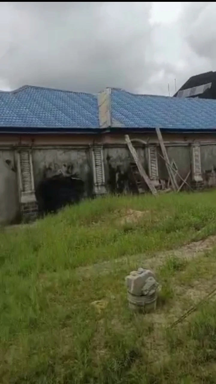 Land for Sale in Chinkelly, Delta - Image 1