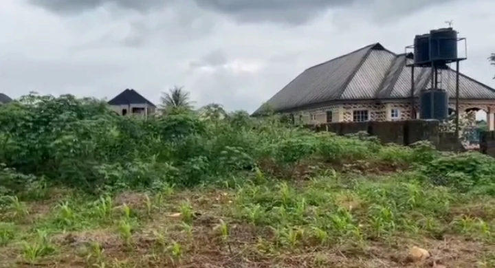 Land for Sale in Iyoha community, Edo - Image 2