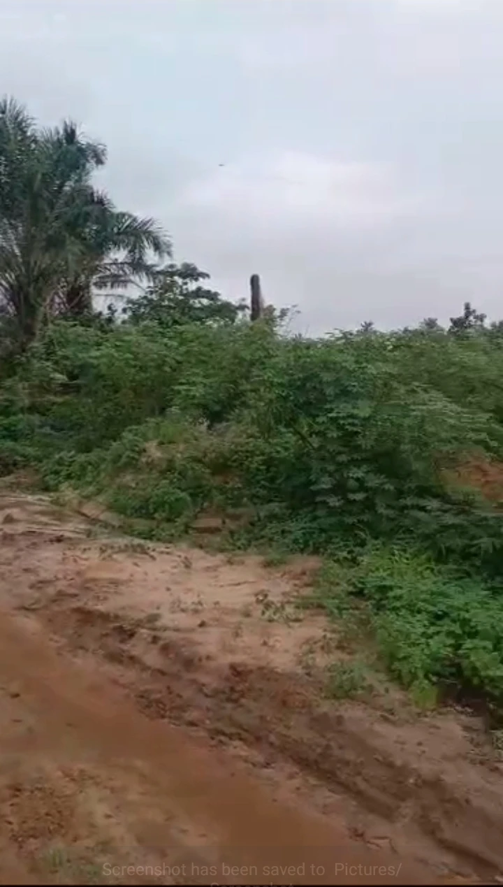 Land for Sale in Airport road, Edo - Image 3
