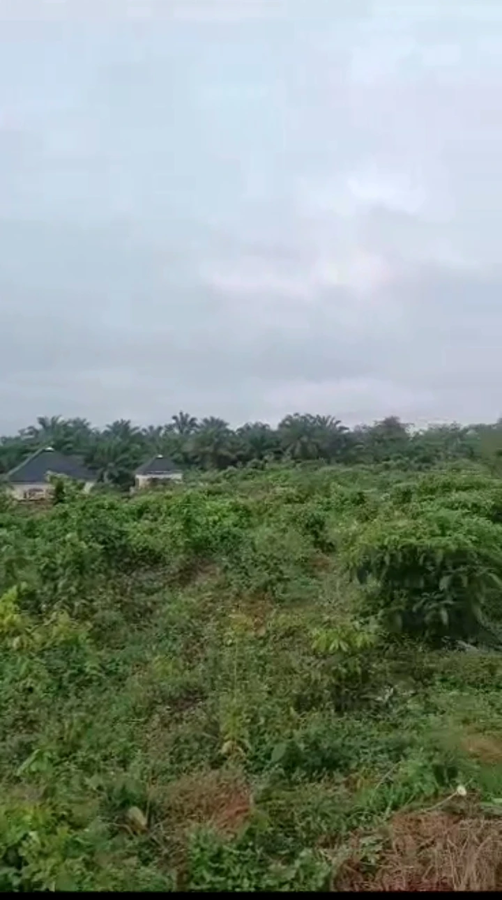 Land for Sale in Airport road, Edo - Image 1