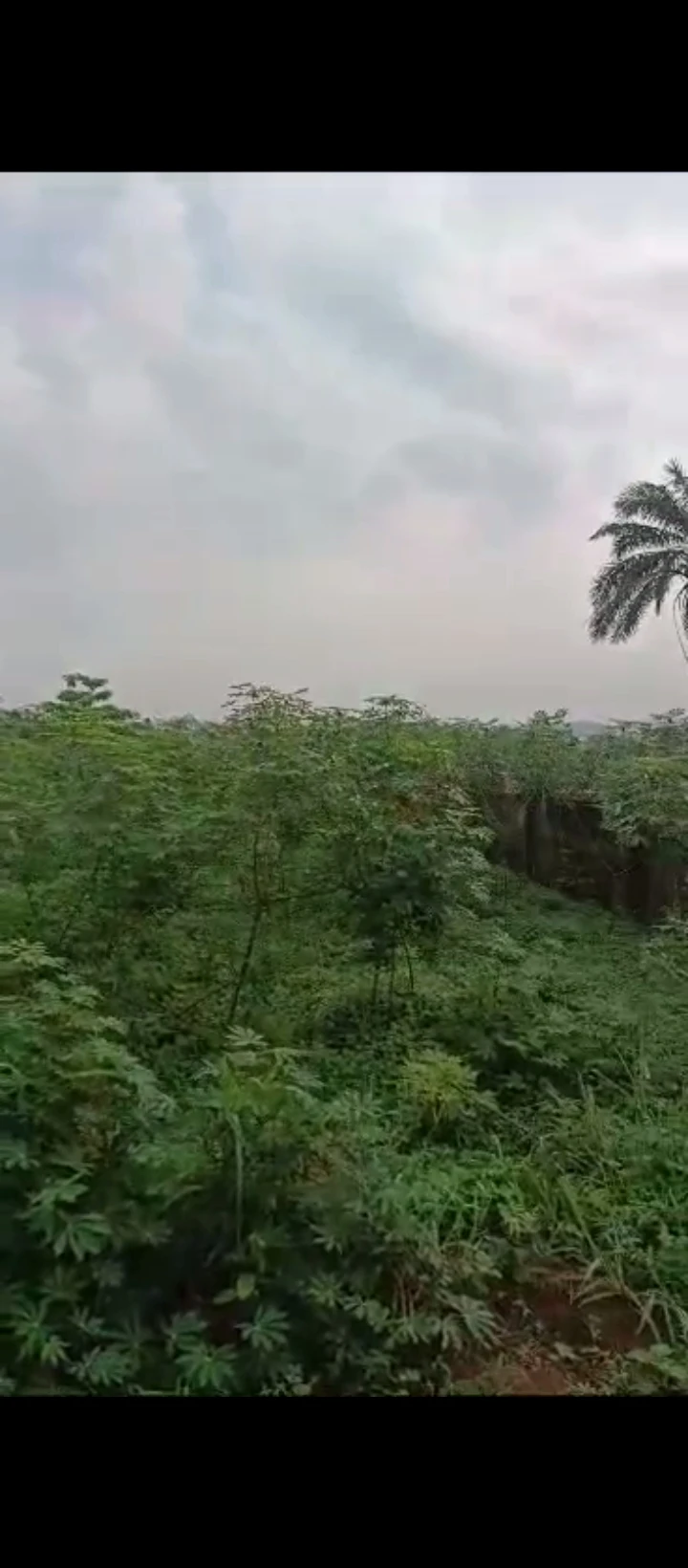 Land for Sale in Airport road, Edo - Image 2