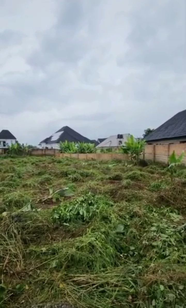Land for Sale in Okhouromi, Edo - Image 2