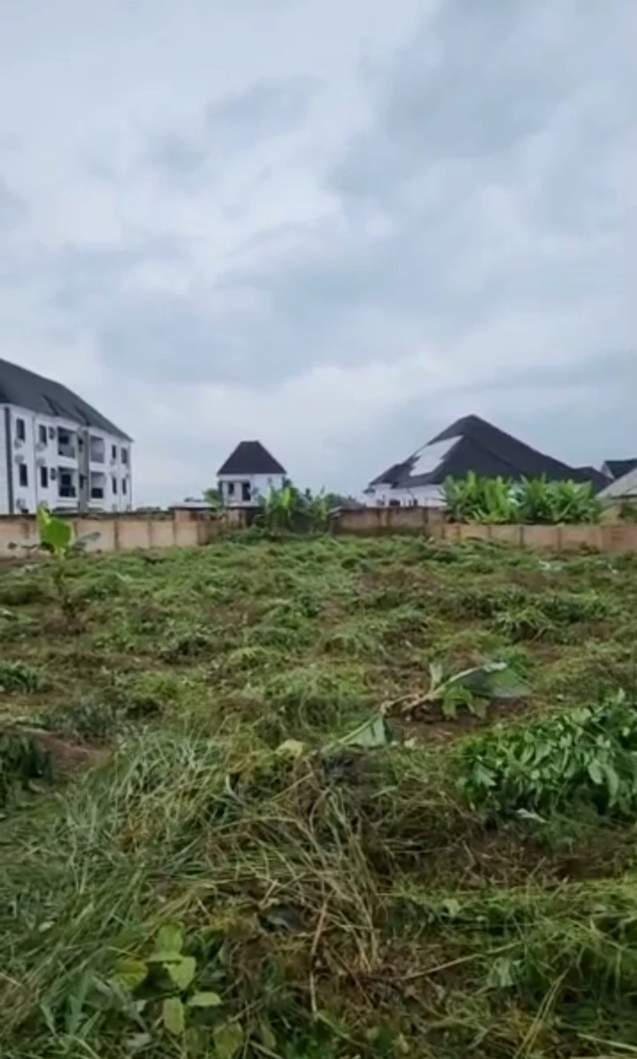 Land for Sale in Okhouromi, Edo - Image 3