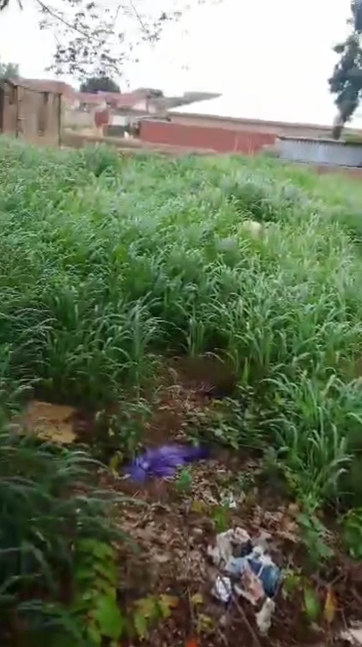 Land for Sale in Ugbowo, Edo - Image 1