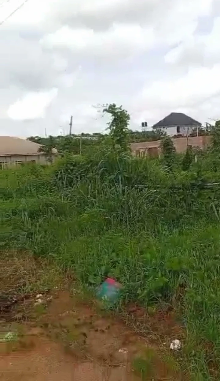 Land for Sale in Oghiso Mm way third East circular road Benin, Edo - Image 2