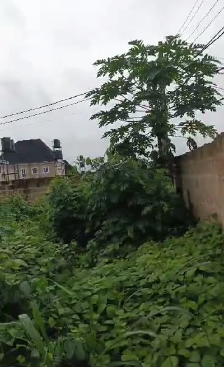 Land for Sale in Ugbor, Edo - Image 1