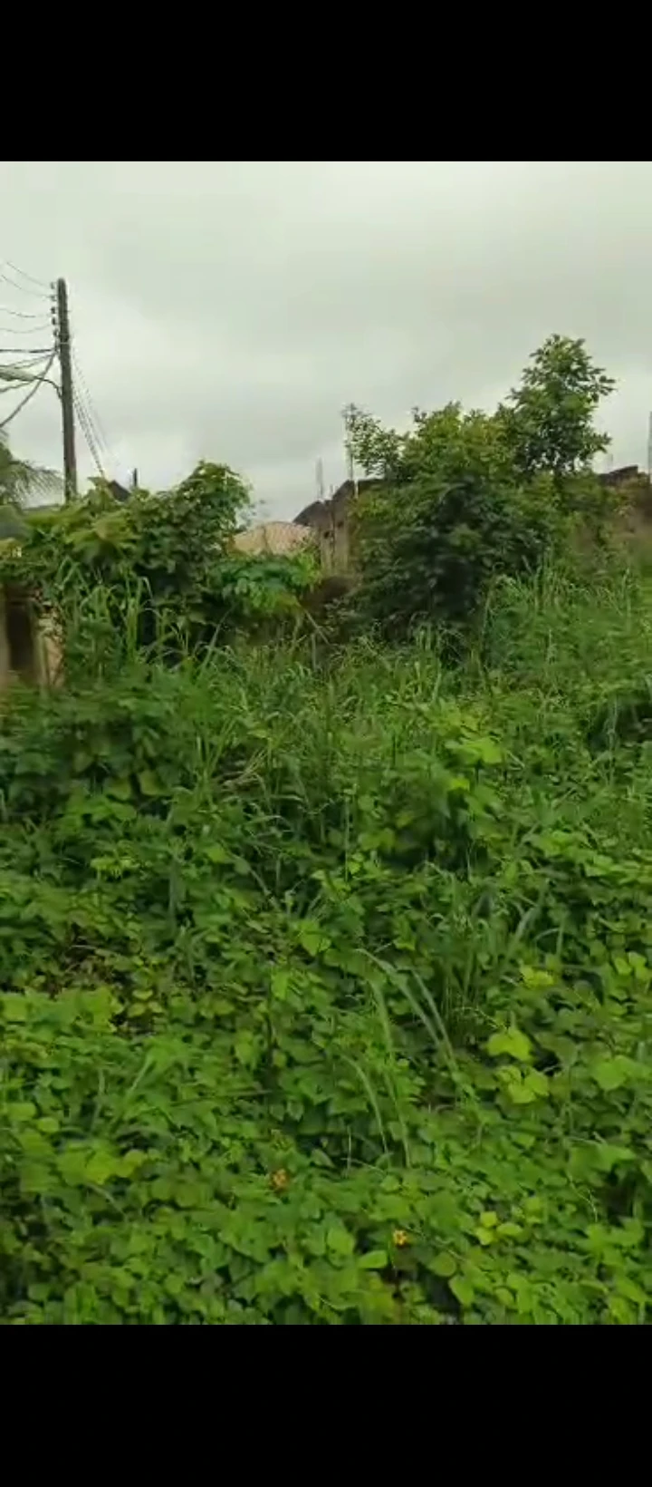 Land for Sale in Ugbor, Edo - Image 3