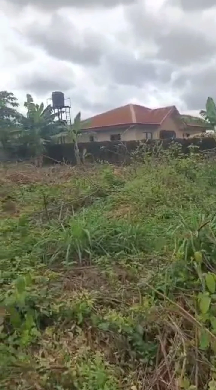 Land for Sale in Falanu off country home, Edo - Image 3