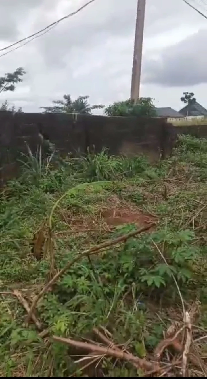Land for Sale in Falanu off country home, Edo - Image 1