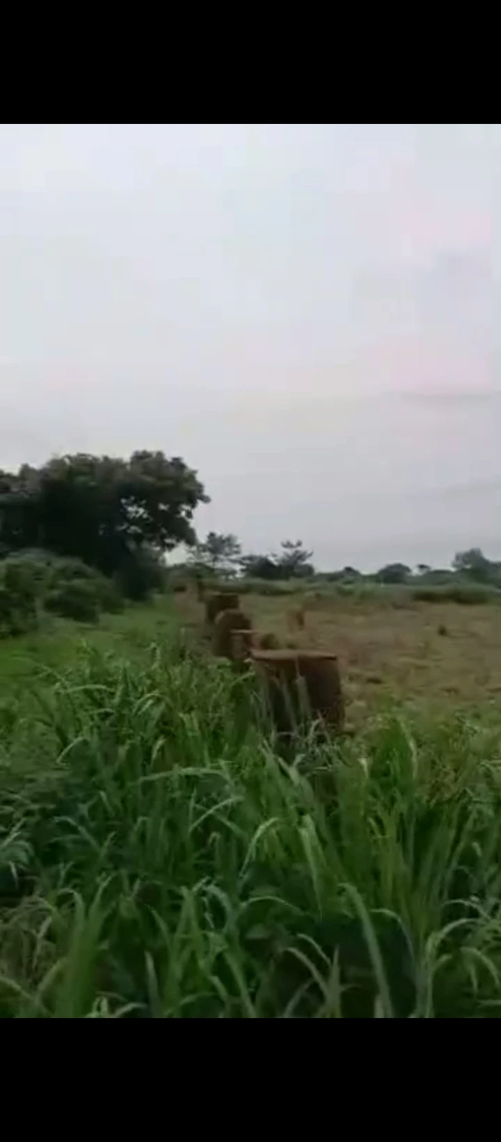 Land for Sale in Benin city, Edo - Image 2
