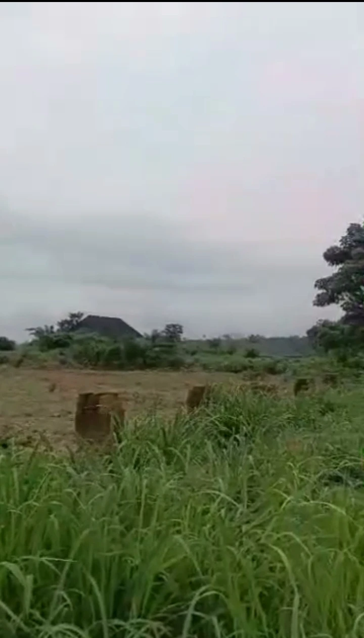Land for Sale in Benin city, Edo - Image 1