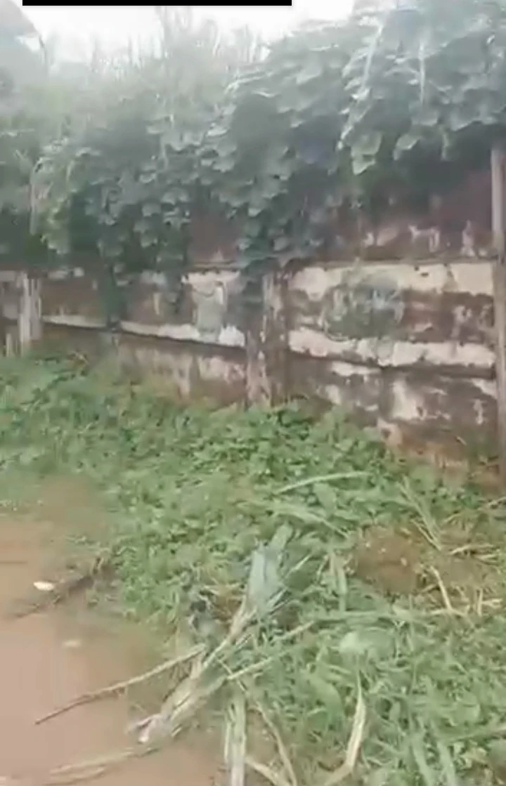 Land for Sale in Benin city, Edo - Image 2