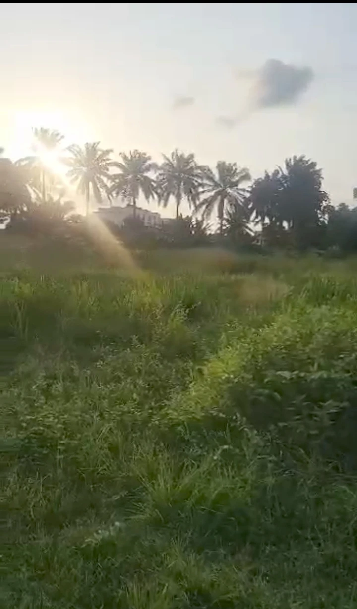 Land for Sale in Benin city, Edo - Image 2