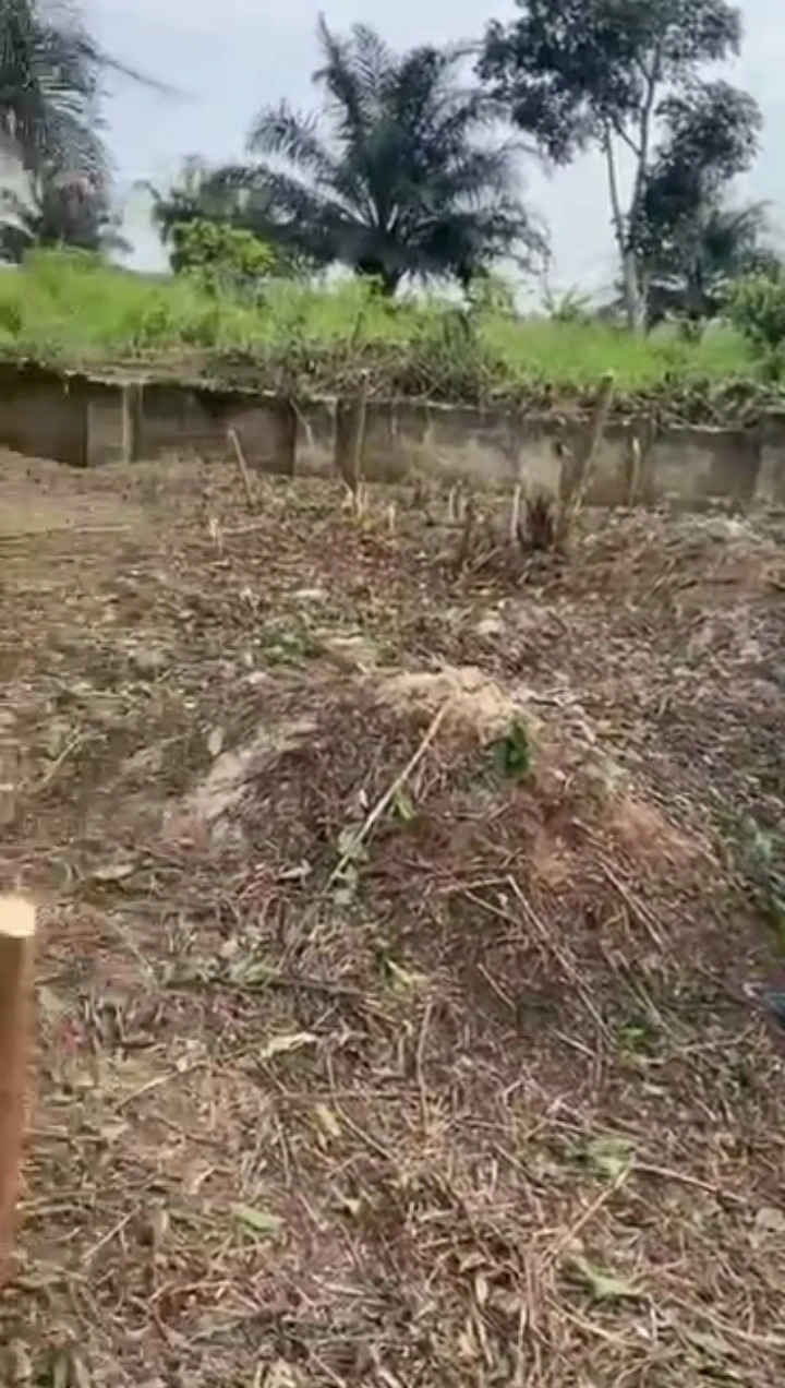 Land for Sale in Benin city, Edo - Image 1