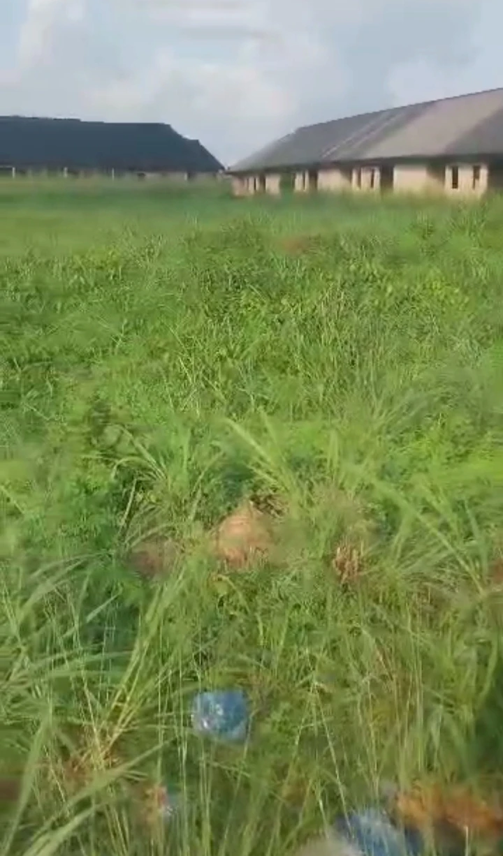 Land for Sale in Eyean, Edo - Image 2