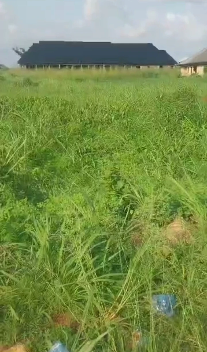 Land for Sale in Eyean, Edo - Image 1