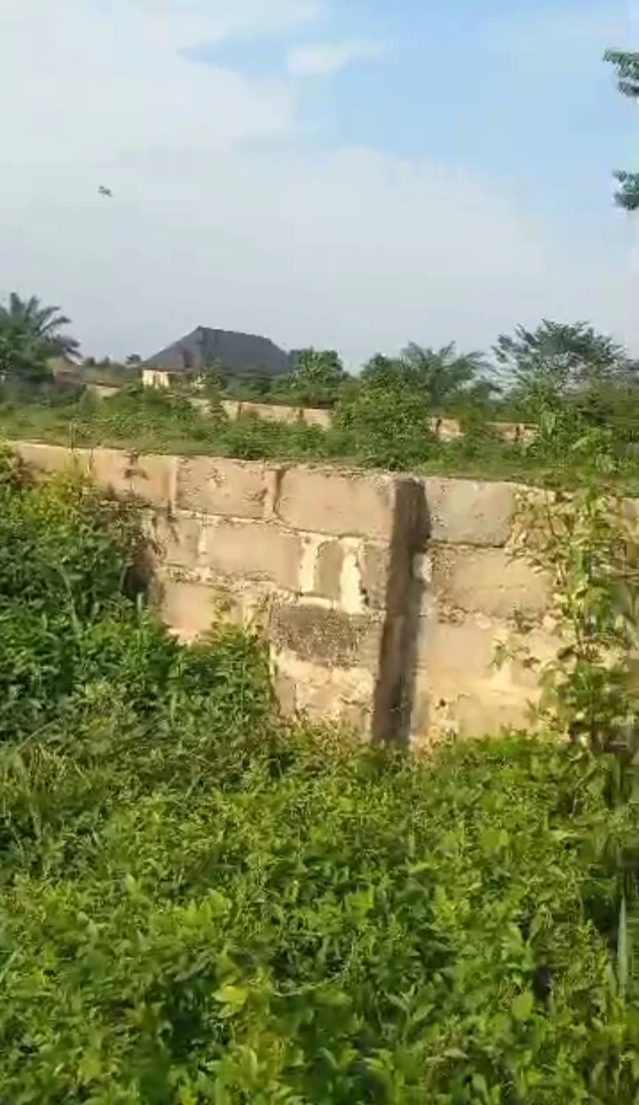 Land for Sale in Uhie sapele road, Edo - Image 2