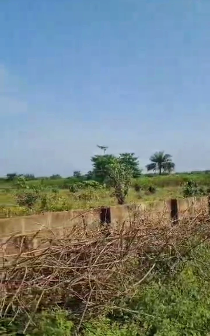 Land for Sale in Iyanomo community, Edo - Image 2