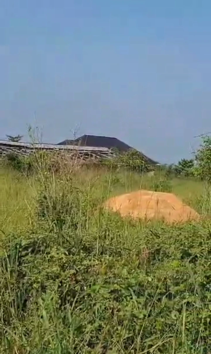 Land for Sale in Iyanomo community, Edo - Image 1