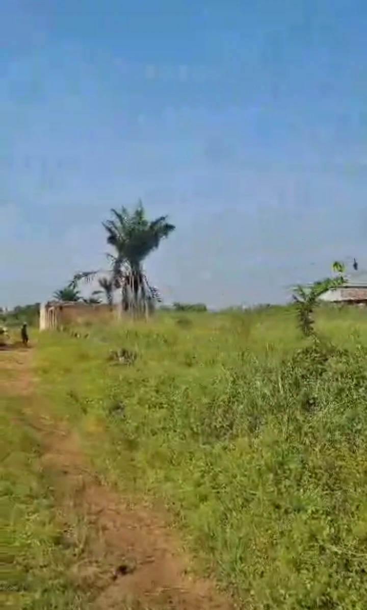 Land for Sale in Iyanomo community, Edo - Image 3