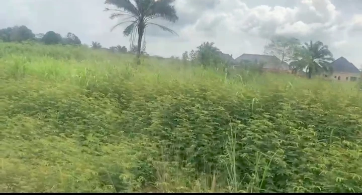 Uncompleted Building for Sale in Obagie road, Edo - Image 1