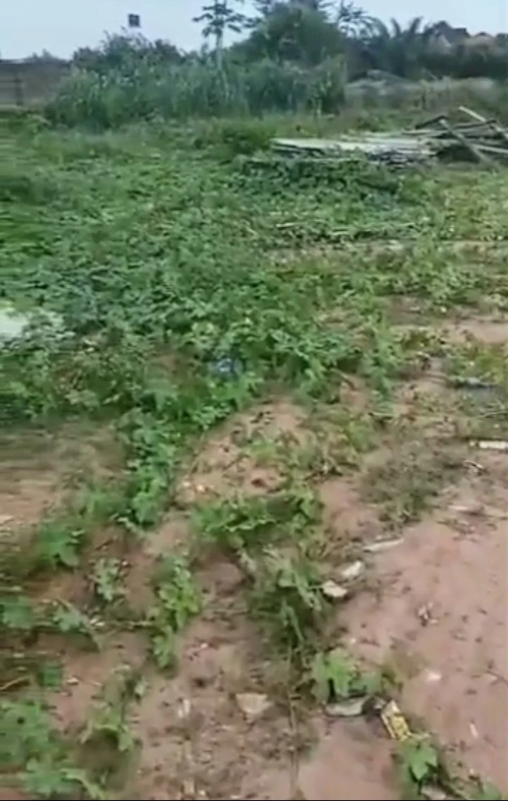 Land for Sale in 2nd ugbor, Edo - Image 2