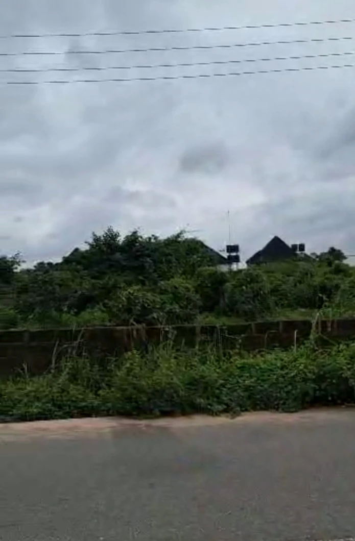 Land for Sale in Obazagbor upper iriri Rd, Edo - Image 1