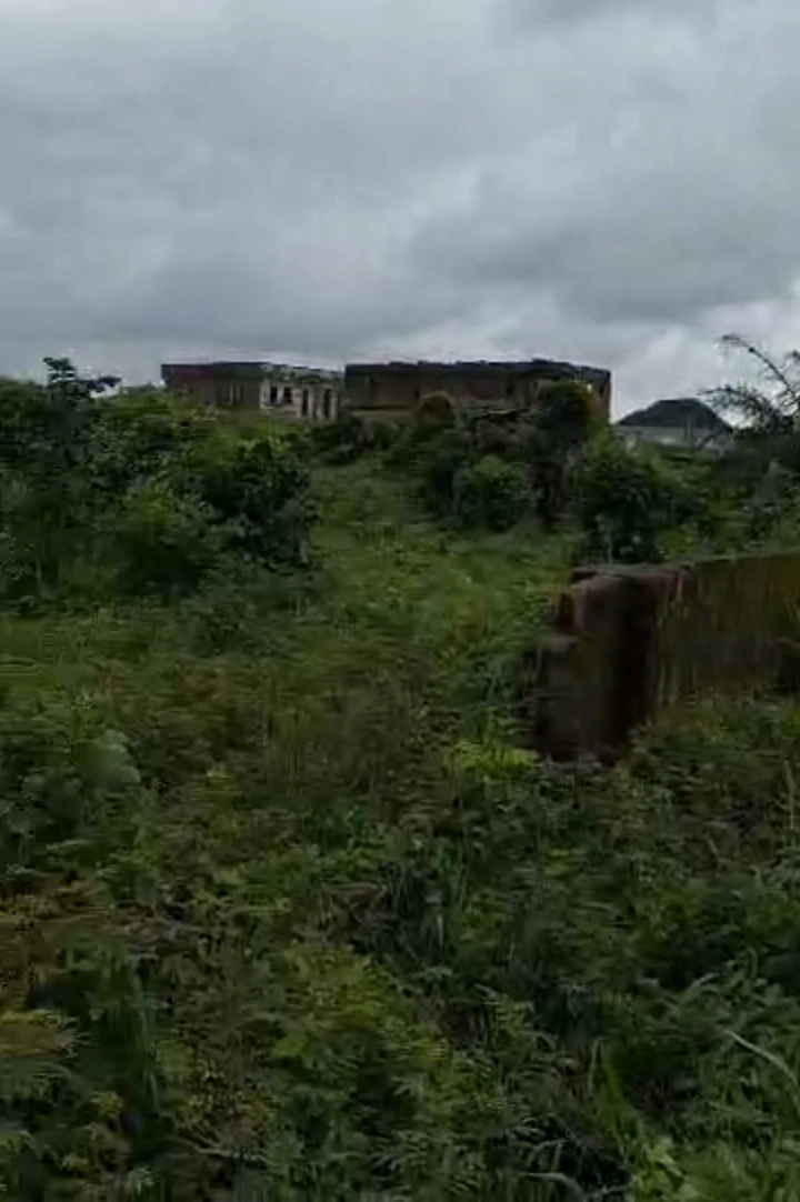 Land for Sale in Obazagbor upper iriri Rd, Edo - Image 4