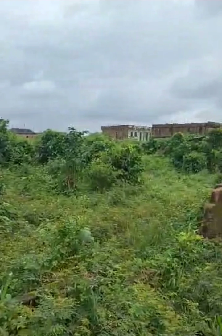 Land for Sale in Obazagbor upper iriri Rd, Edo - Image 2