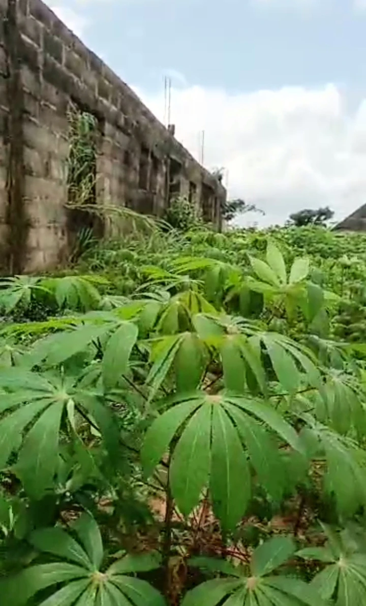 Uncompleted Building for Sale in Iyanomo community, Edo - Image 4