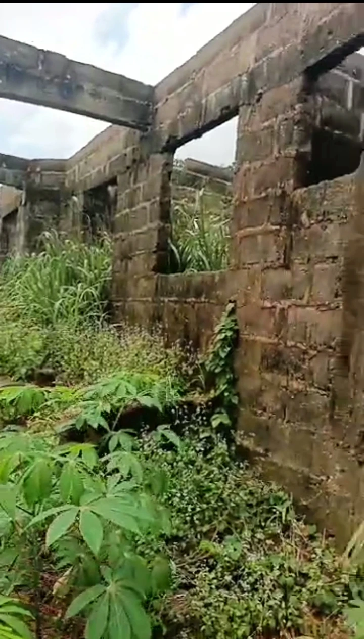 Uncompleted Building for Sale in Iyanomo community, Edo - Image 2