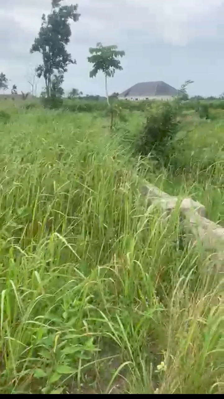 property cover photo