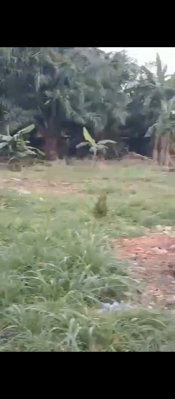 Land for Sale in ADOLOR, Edo