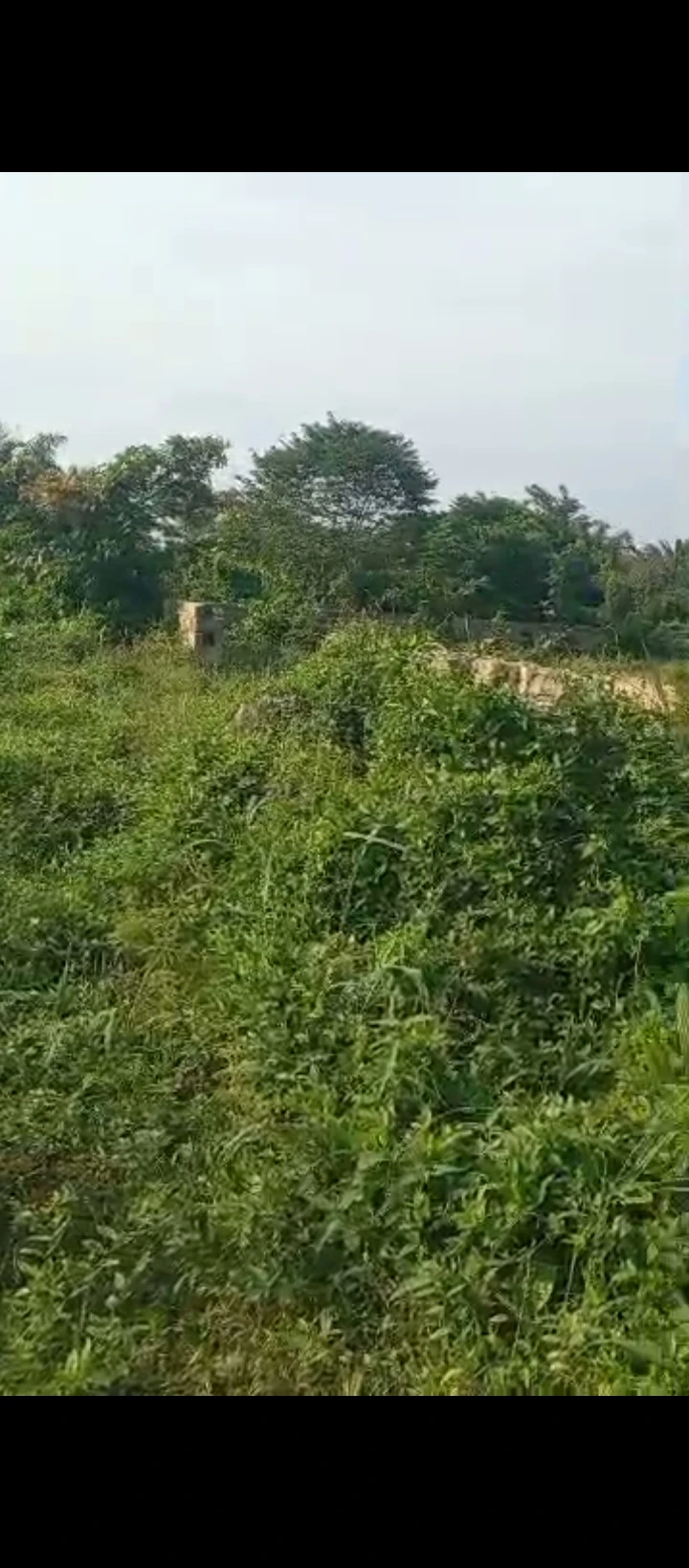 property cover photo