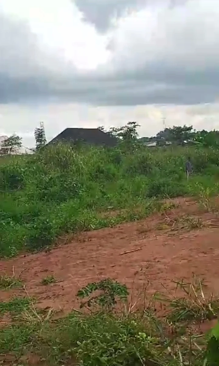 property cover photo