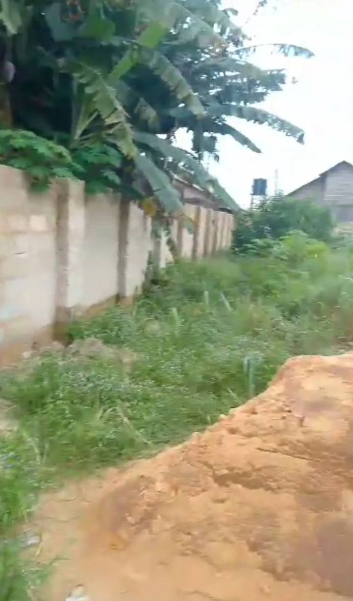 property cover photo