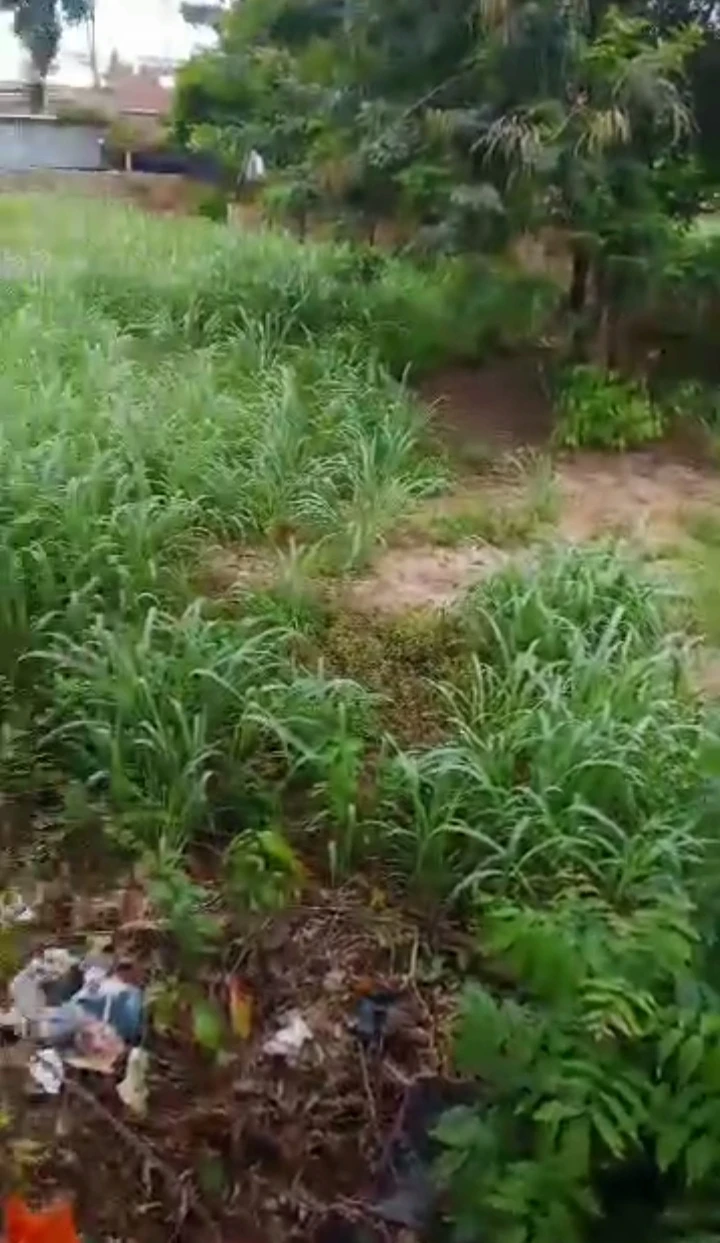 property cover photo