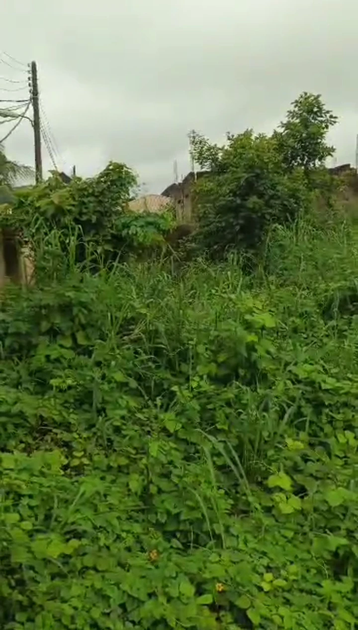 property cover photo