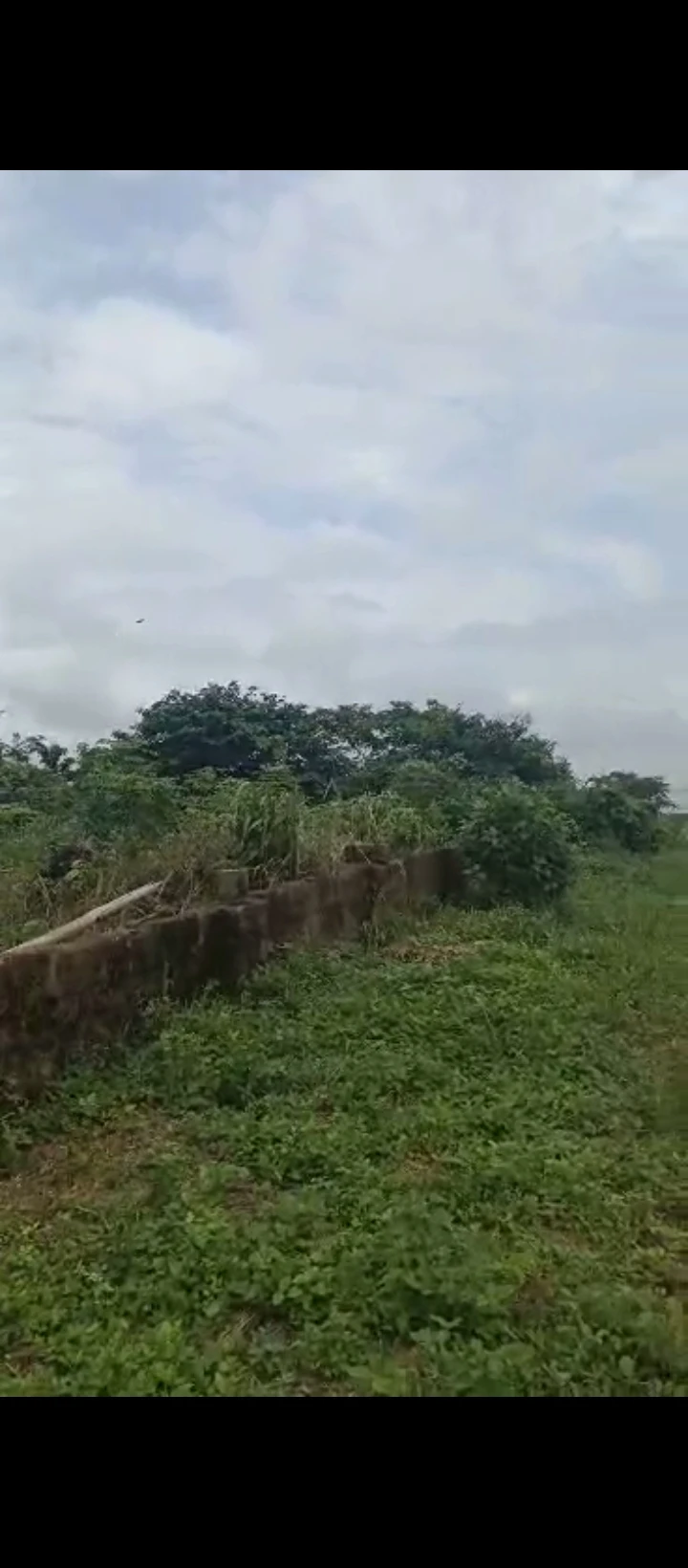 Land for Sale in okorumi, Edo cover picture