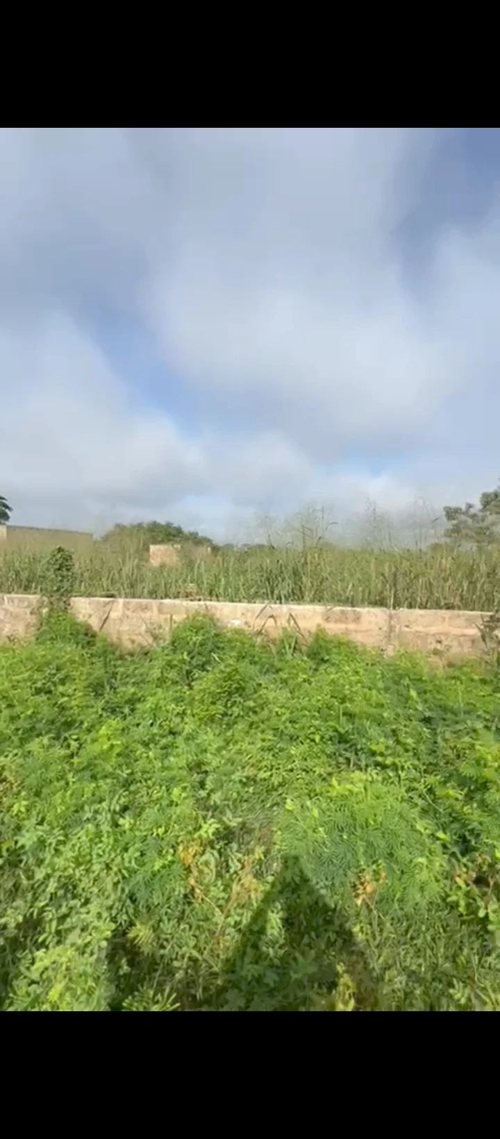 Land for Sale in BIU Road along sapele road, Edo cover picture