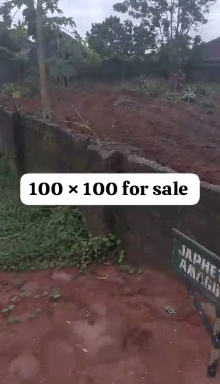 Land for Sale in Amagba, Edo cover picture