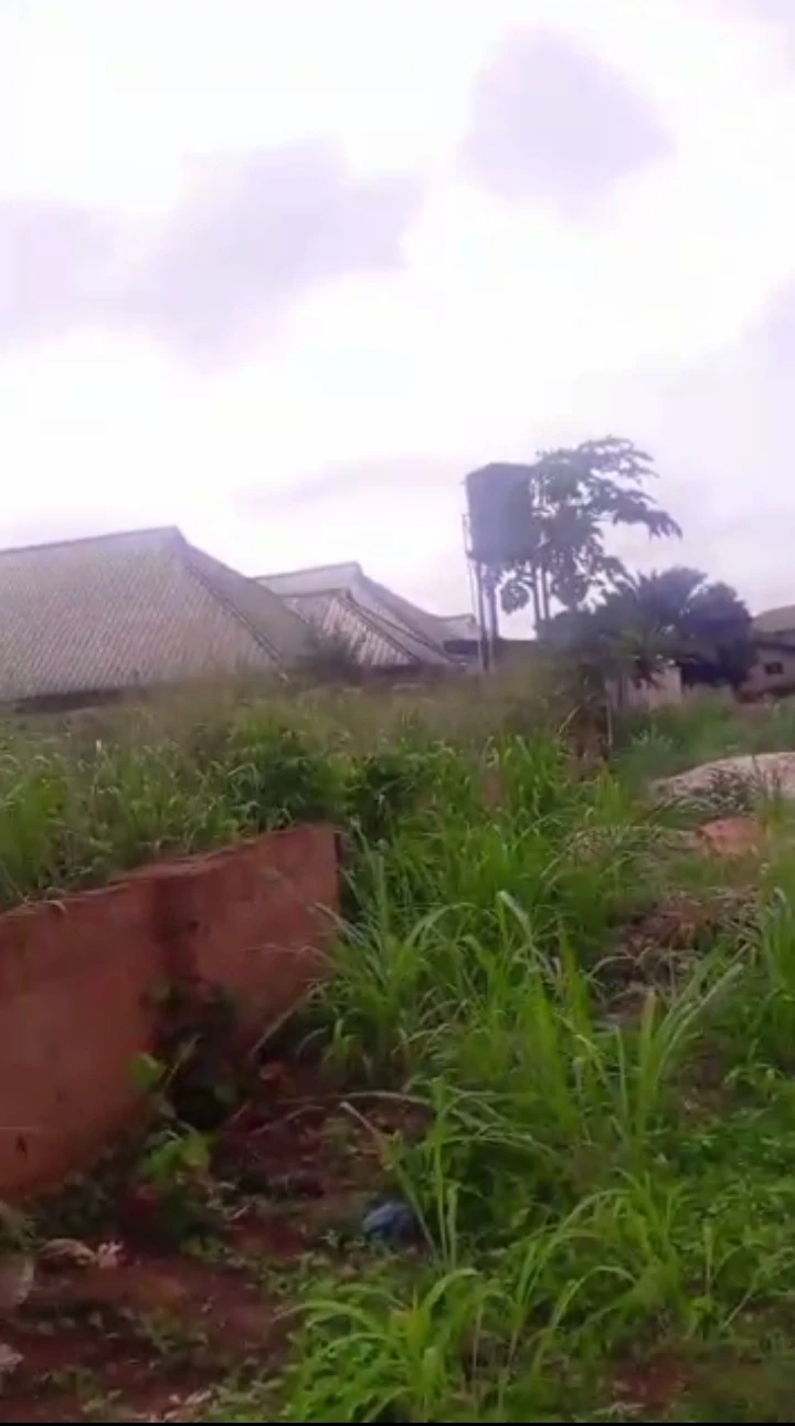 Land for Sale in Okhabere, Edo cover picture