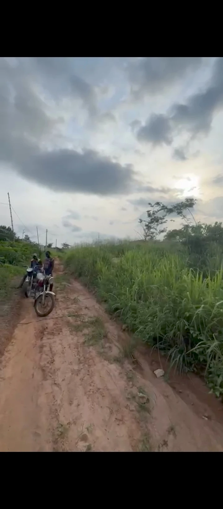 land for sale in Umegbe upper airport road, Edo cover picture