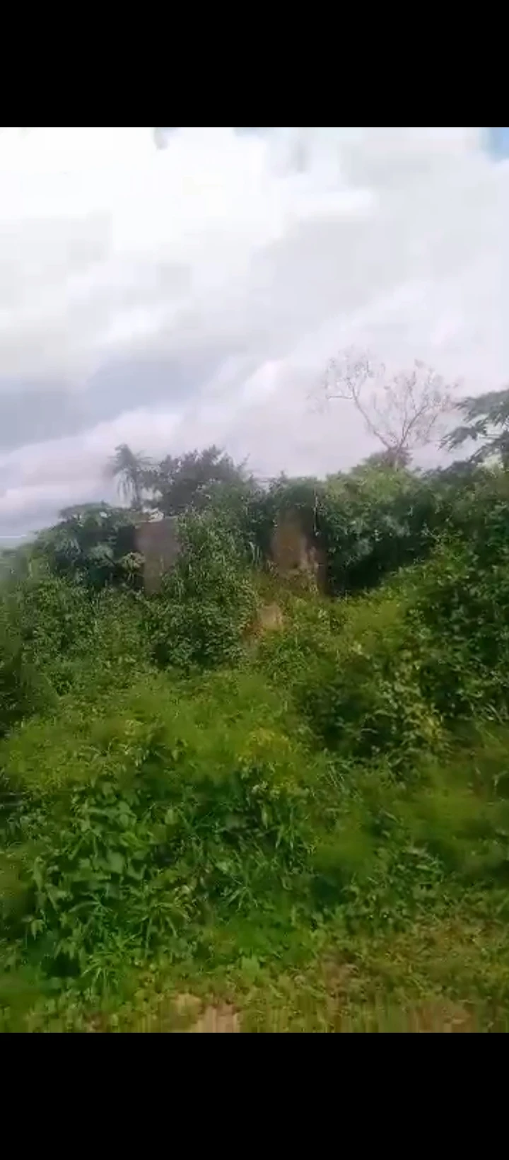 Land for Sale in Evbukhu, Edo cover picture