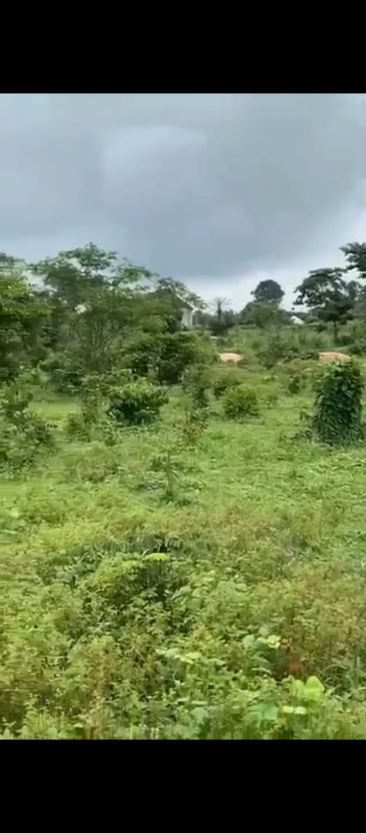 Land for Sale in EKHIADOLOR, Edo