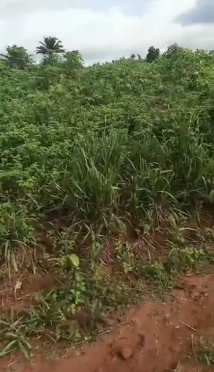 Land for Sale in EKHIADOLOR, Edo