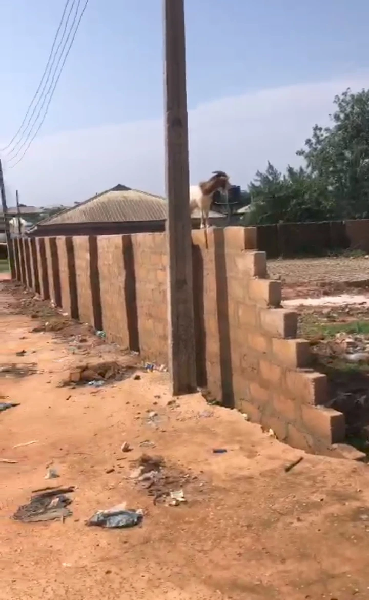 Land for Sale in Falanu country home, Edo cover picture